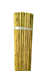 Natural Rolled Bamboo (THICK) fencing for plant care and garden decor

