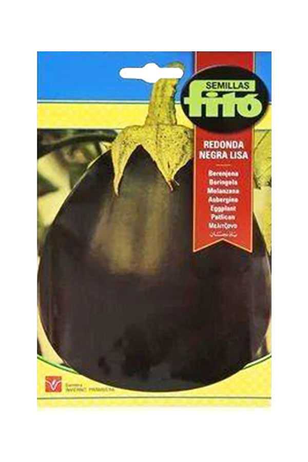 Fito Corn Salad Big Grain seeds for growing fresh and nutritious corn salad leaves. Available at Plantsworld.ae