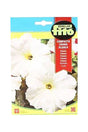 Fito Petunia 'Dwarf' Compact (600 mg, White) seeds for elegant white flowers. Easy to grow and perfect for containers. Available at Plantsworld.ae.