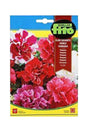 Fito Petunia Multiflora Hybrid Double Mixed (50 mg) seeds for vibrant, double-flowered petunias. Available at Plantsworld.ae for your garden