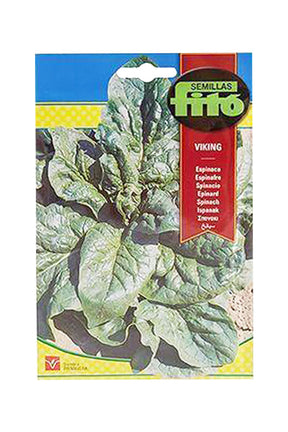 Spinach Viking Vegetable Seeds by Fito for Home Gardening and Organic Farming