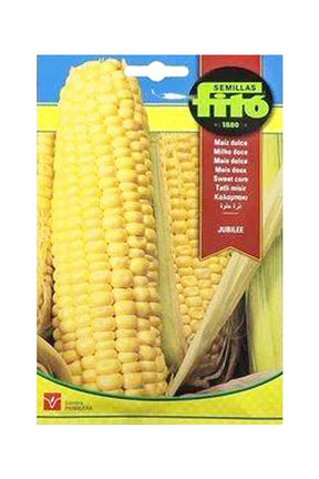 Jubilee Sweet Corn Seeds by Fito for Home Gardening and Organic Vegetable Growing