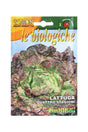 Organic Lettuce Seeds by Franchie Biologica for Home Gardening and Salad Greens