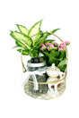 Ramadan gift hamper designed for festive and spiritual gifting