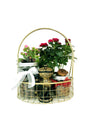 Ramadan gift hamper combining indoor plant and decorative items
