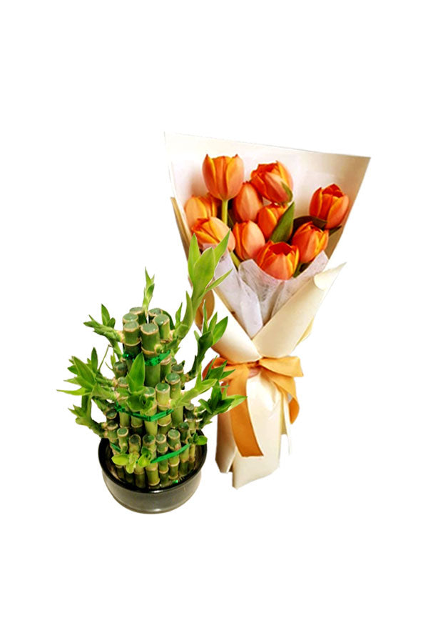 Lucky bamboo 3-step arrangement with flower bouquet