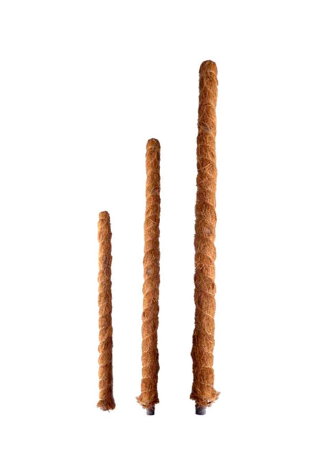Moss-covered climbing stick for houseplants
