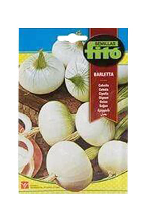 Fito - Onion Barletta Seed (7g) - Premium Onion Seeds for UAE Gardens
