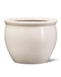 GPR Fish Bowl - GPR Fish Bowl - Plantsworld.ae