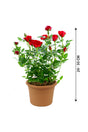 Rose - Indoor Flowering Plant - Plantsworld.ae