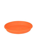 Round plastic plant plates - essential accessories for plant pots to protect surfaces and enhance plant display