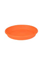 Round plastic plant plates - essential accessories for plant pots to protect surfaces and enhance plant display