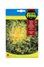 Fito - Seed Kivircik Marul Lettuce (8 g) - Premium Lettuce Seeds for UAE Gardens
