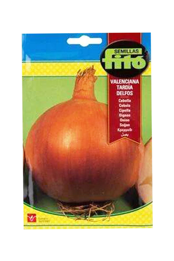  Fito - Seed Onion Delfos (7 g) - Premium Onion Seeds for UAE Gardens