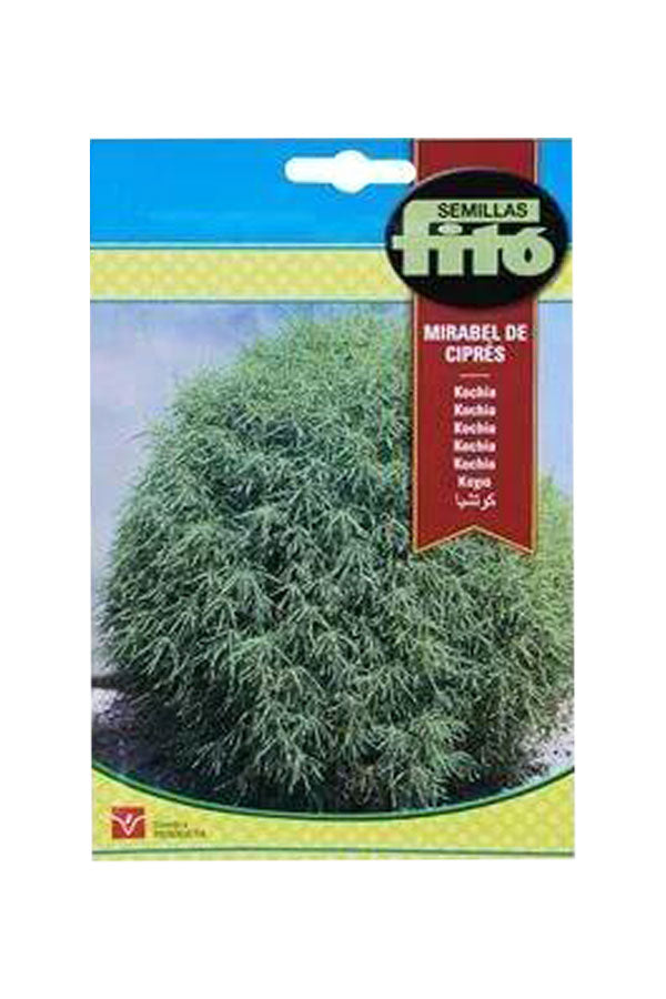 Fito-Semilla  Seeds - Mirabel De Cipres - Plantsworld.ae