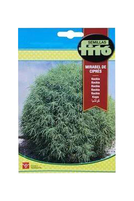 Fito-Semilla  Seeds - Mirabel De Cipres - Plantsworld.ae