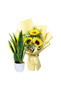 Elegant Sansevieria snake plant paired with fresh flower bouquet
