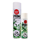 Spring Leaf Shining Spray - Plantsworld.ae