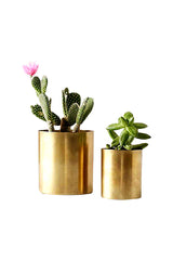 Stainless steel circular planter with elegant gold finishing for luxury indoor plant décor