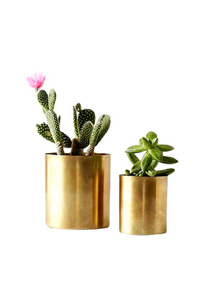 Stainless steel circular planter with elegant gold finishing for luxury indoor plant décor