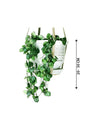 String of Hearts - Ceropegia Woodii - Plantsworld.ae