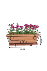 Vinca In Rectangular Pot - Plantsworld.ae