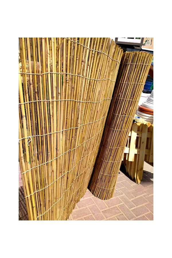 Natural Rolled Bamboo Fencing - Plantsworld.ae