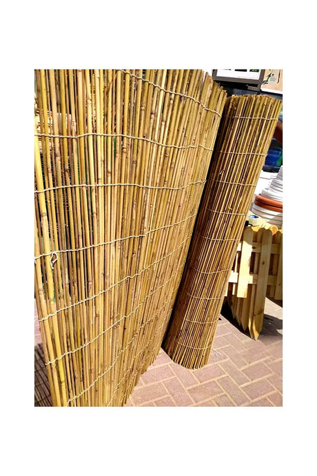 Natural Rolled Bamboo Fencing - Plantsworld.ae