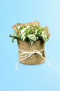 Beautiful nerve plant arrangement for Women’s Day celebrations