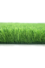 Artifitial Grass -BD (50 mm) - Plantsworld.ae