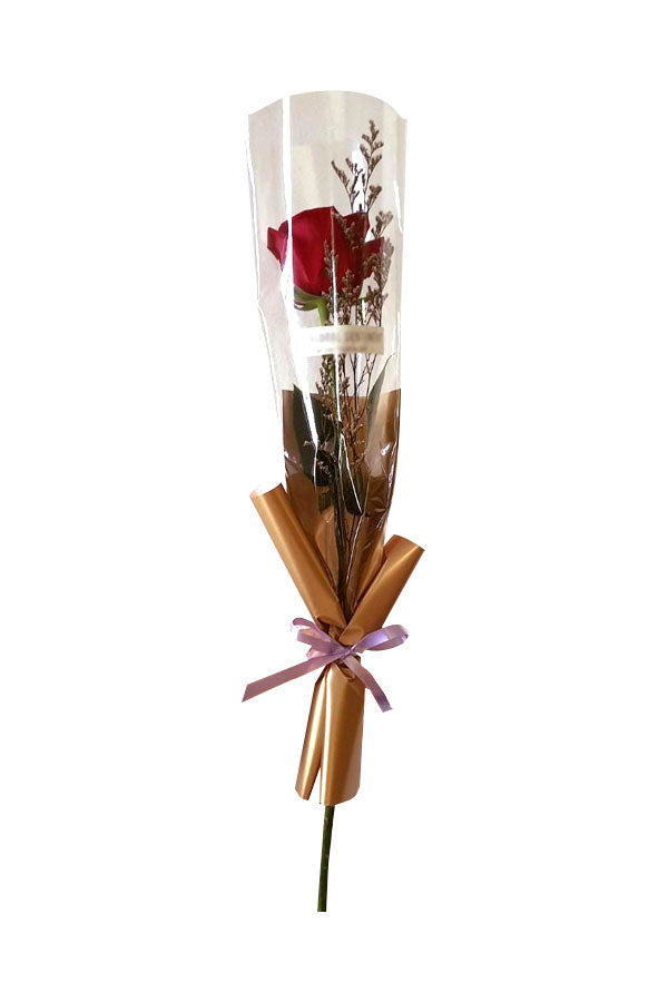 Fresh red rose bouquet wrapped in brown paper with bow